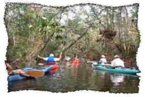 guided kayak tour